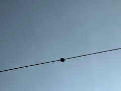 深圳特力康|输电线路-激光测距导线弧垂监测装置图5